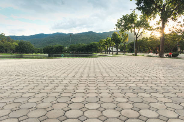 Best Driveway Pavers Near Me  in Mount Vernon, VA